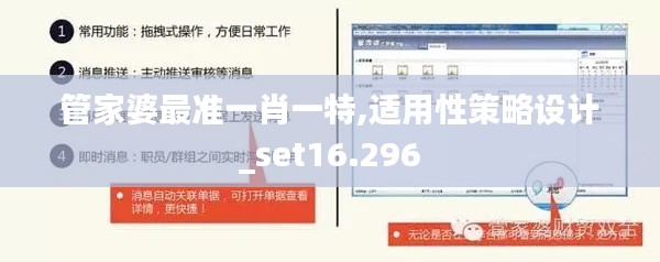 管家婆最准一肖一特,适用性策略设计_set16.296