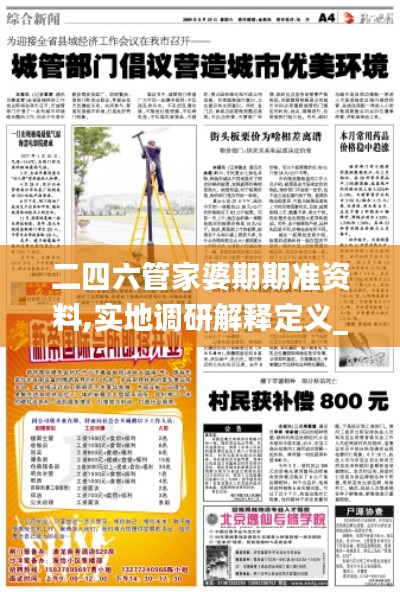 二四六管家婆期期准资料,实地调研解释定义_BT81.667
