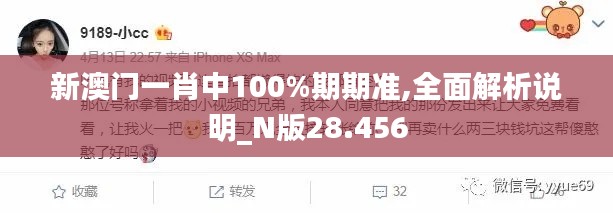 新澳门一肖中100%期期准,全面解析说明_N版28.456