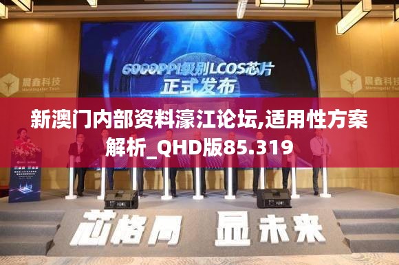 新澳门内部资料濠江论坛,适用性方案解析_QHD版85.319