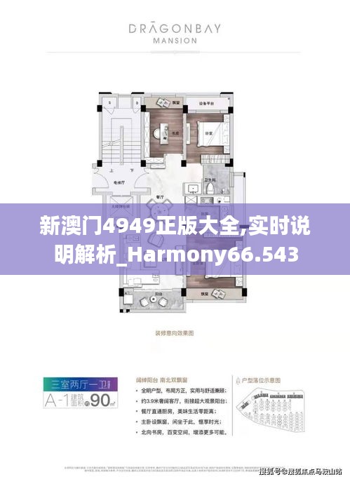 新澳门4949正版大全,实时说明解析_Harmony66.543