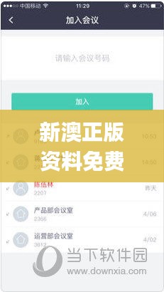 新澳正版资料免费大全,现状解读说明_XR46.210