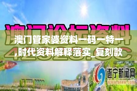 澳门管家婆资料一码一特一,时代资料解释落实_复刻款96.918