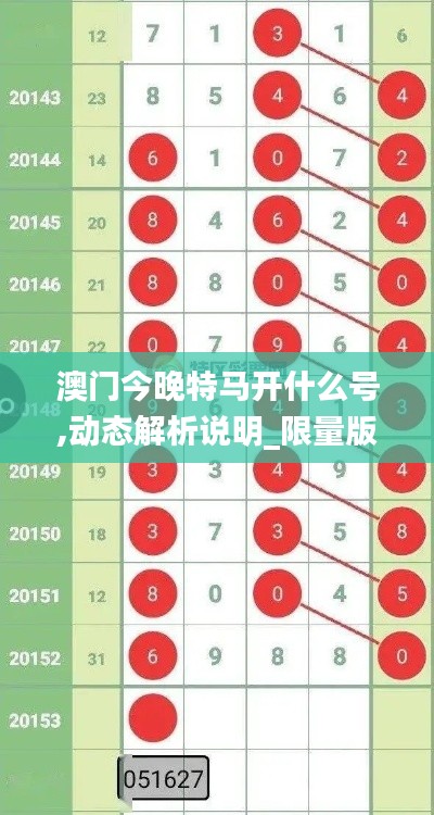 澳门今晚特马开什么号,动态解析说明_限量版26.203