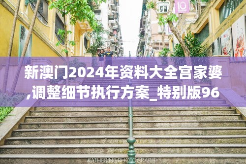 新澳门2024年资料大全宫家婆,调整细节执行方案_特别版96.696