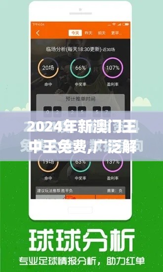 2024年新澳门王中王免费,广泛解析方法评估_QHD51.327