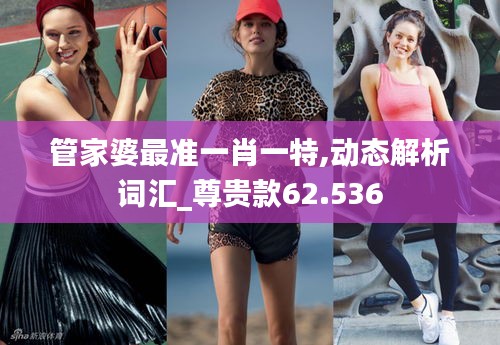 管家婆最准一肖一特,动态解析词汇_尊贵款62.536