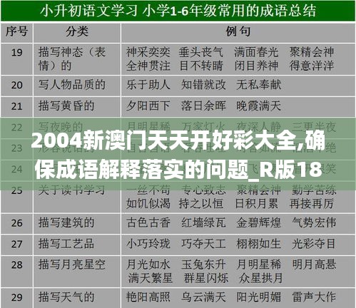 2004新澳门天天开好彩大全,确保成语解释落实的问题_R版18.573