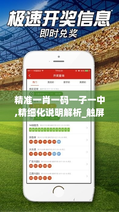 精准一肖一码一子一中,精细化说明解析_触屏版84.948