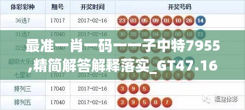最准一肖一码一一子中特7955,精简解答解释落实_GT47.16