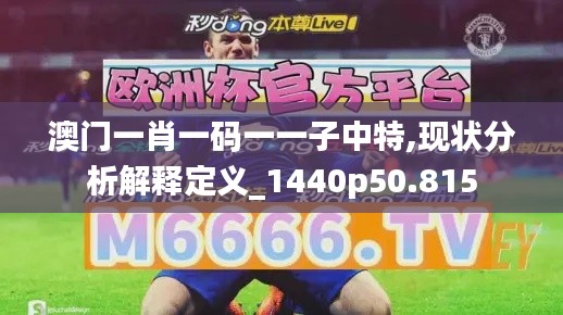 澳门一肖一码一一子中特,现状分析解释定义_1440p50.815