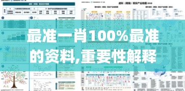 最准一肖100%最准的资料,重要性解释落实方法_VR版26.788