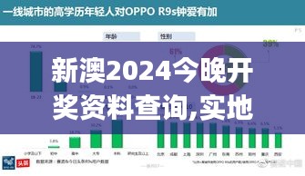 新澳2024今晚开奖资料查询,实地分析数据方案_创意版2.462