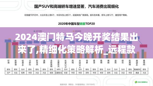 2024澳门特马今晚开奖结果出来了,精细化策略解析_远程款31.206