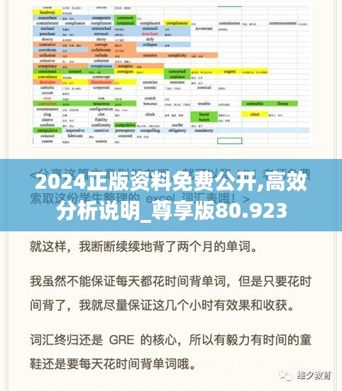 2024正版资料免费公开,高效分析说明_尊享版80.923