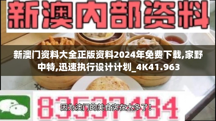 新澳门资料大全正版资料2024年免费下载,家野中特,迅速执行设计计划_4K41.963