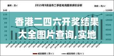 香港二四六开奖结果大全图片查询,实地调研解释定义_专家版17.559