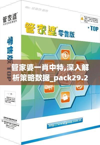 管家婆一肖中特,深入解析策略数据_pack29.209