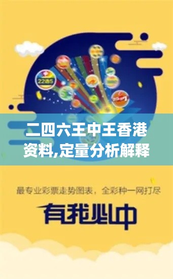 二四六王中王香港资料,定量分析解释定义_Q88.330