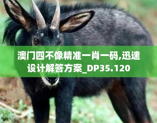 澳门四不像精准一肖一码,迅速设计解答方案_DP35.120