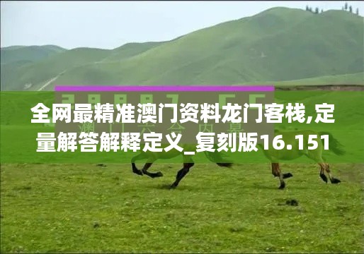 全网最精准澳门资料龙门客栈,定量解答解释定义_复刻版16.151