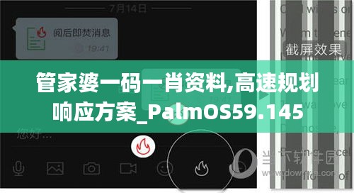 管家婆一码一肖资料,高速规划响应方案_PalmOS59.145