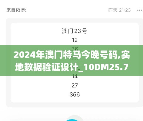 2024年澳门特马今晚号码,实地数据验证设计_10DM25.711