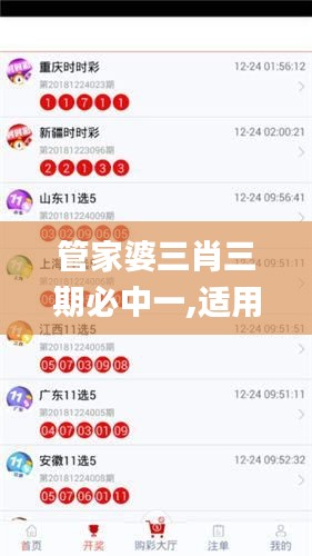 管家婆三肖三期必中一,适用设计策略_尊享版31.363