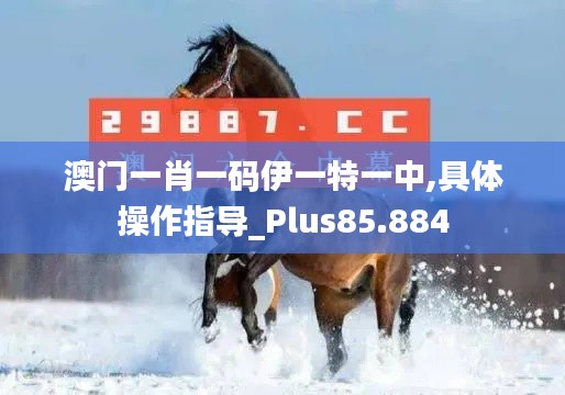 澳门一肖一码伊一特一中,具体操作指导_Plus85.884