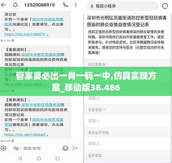 管家婆必出一肖一码一中,仿真实现方案_移动版38.486