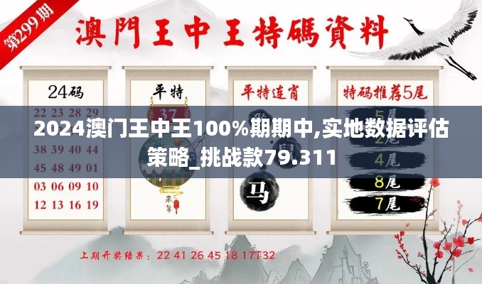 2024澳门王中王100%期期中,实地数据评估策略_挑战款79.311