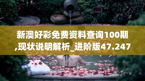 新澳好彩免费资料查询100期,现状说明解析_进阶版47.247