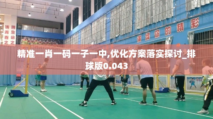 精准一肖一码一子一中,优化方案落实探讨_排球版0.043
