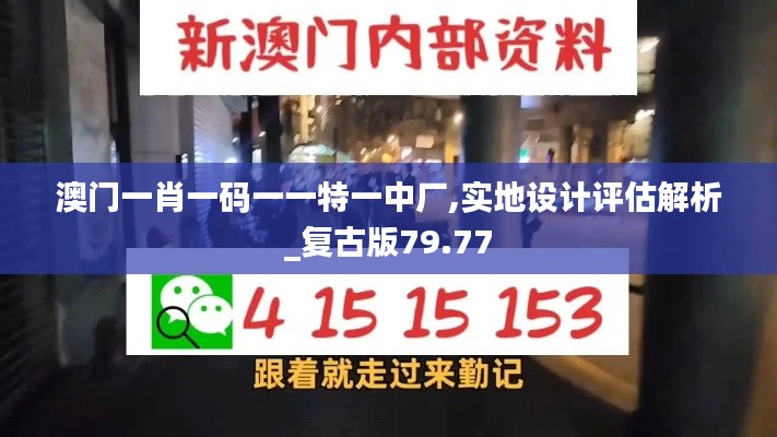 澳门一肖一码一一特一中厂,实地设计评估解析_复古版79.77