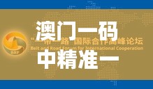 澳门一码中精准一码免费中特论坛答案解,标准化程序评估_MP52.14