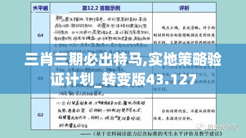 三肖三期必出特马,实地策略验证计划_转变版43.127