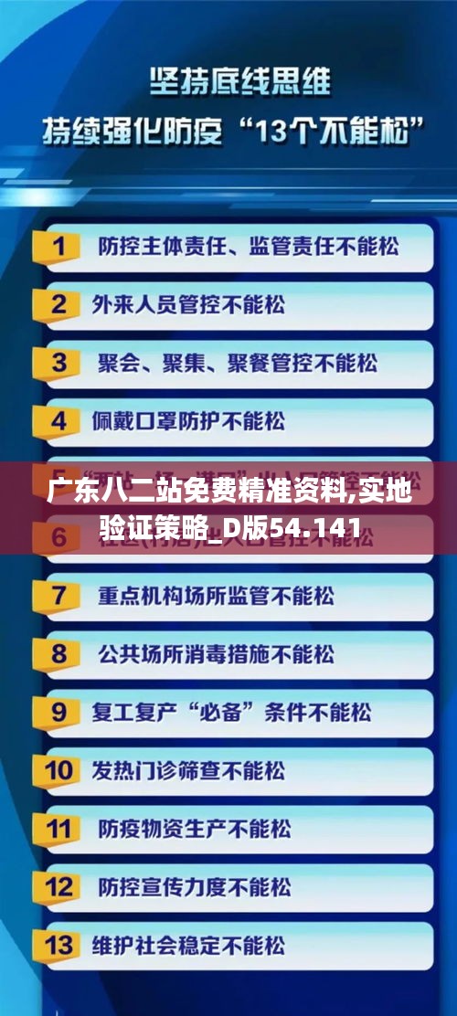 广东八二站免费精准资料,实地验证策略_D版54.141