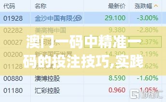澳门一码中精准一码的投注技巧,实践调查解析说明_Linux38.245