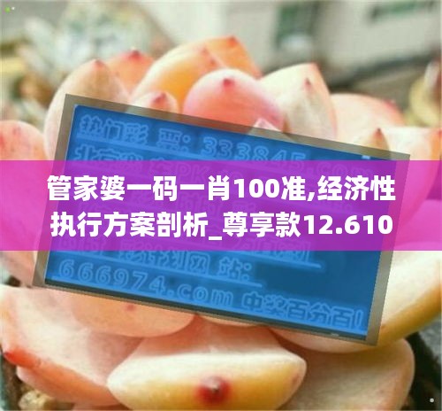 管家婆一码一肖100准,经济性执行方案剖析_尊享款12.610