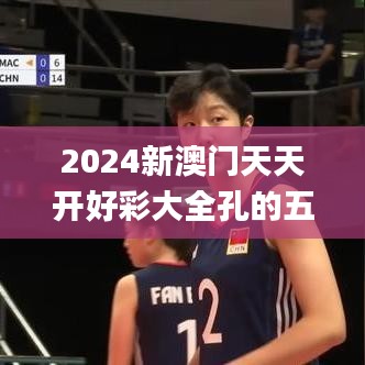 2024新澳门天天开好彩大全孔的五伏,快速方案落实_网页款60.38