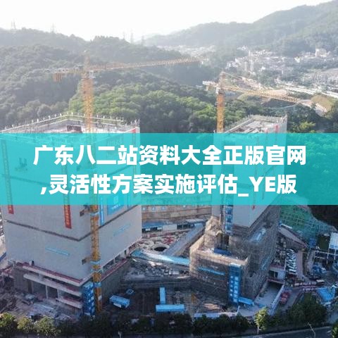 广东八二站资料大全正版官网,灵活性方案实施评估_YE版96.296