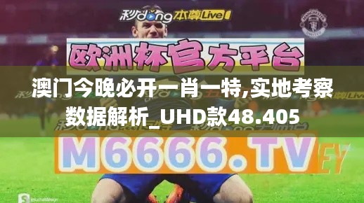 feiyipuhuo 第8页