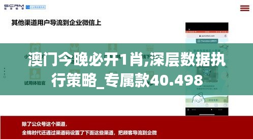 澳门今晚必开1肖,深层数据执行策略_专属款40.498