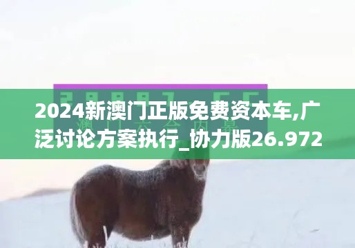 2024新澳门正版免费资本车,广泛讨论方案执行_协力版26.972