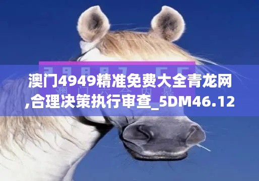 澳门4949精准免费大全青龙网,合理决策执行审查_5DM46.129