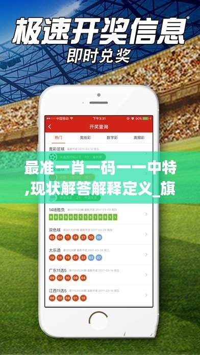 最准一肖一码一一中特,现状解答解释定义_旗舰款81.154