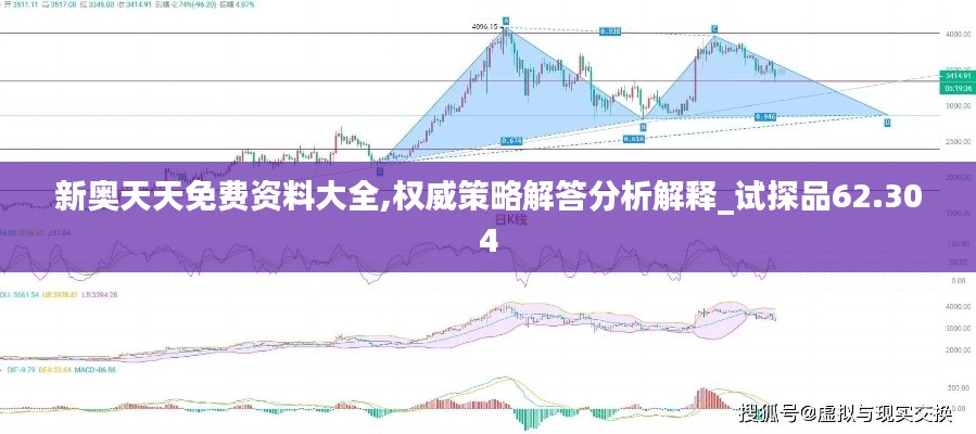 新奥天天免费资料大全,权威策略解答分析解释_试探品62.304