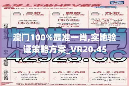 澳门100%最准一肖,实地验证策略方案_VR20.45