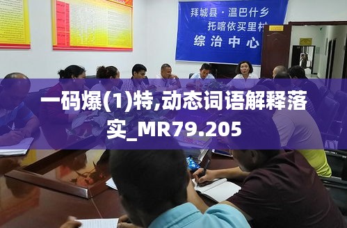 一码爆(1)特,动态词语解释落实_MR79.205