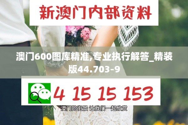 澳门600图库精准,专业执行解答_精装版44.703-9